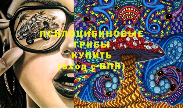 стаф Абинск
