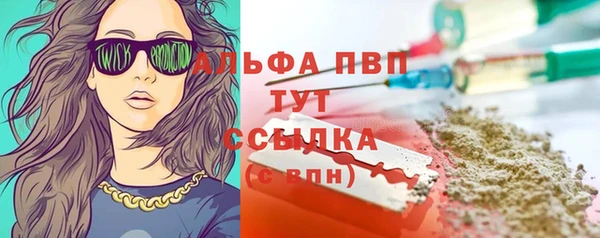 стаф Абинск