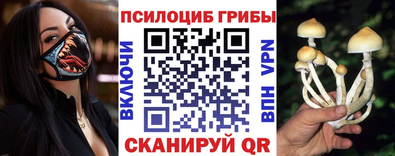 Галлюциногенные грибы Magic Shrooms купить закладку KRAKEN ССЫЛКА Татарск